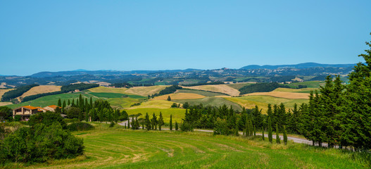 Fototapeta na wymiar Beautiful view in Tuscany, Italy. Rural landscape. Countryside hills and meadows, green and yellow fields and sky. Beautiful world.