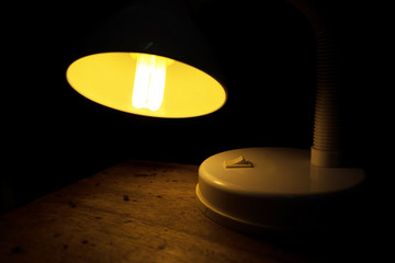 Fluorescent lamp for reading book at night