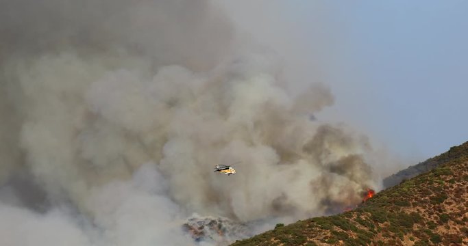 The dramatic view of destroying wildfire on Hollywood hills, near the Warner Bros studio. The hillside forest is in fire. Firefighting helicopter is involved in extinguishing a fire.