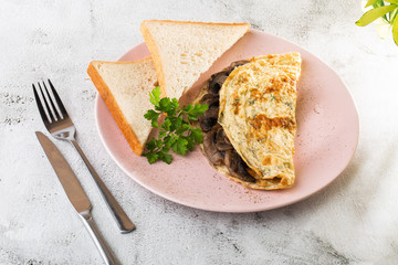 Omelet with mushrooms and sourdough toast isolated on white marble background. Homemade food. Tasty breakfast. Selective focus. Hotizontal photo.
