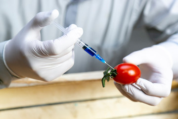 A man injects chemicals into a tomato, GMO fertilizers and chemicals with a syringe to increase the...