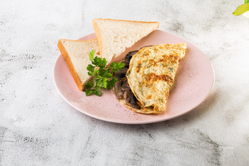 Omelet with mushrooms and sourdough toast isolated on white marble background. Homemade food. Tasty breakfast. Selective focus. Hotizontal photo.