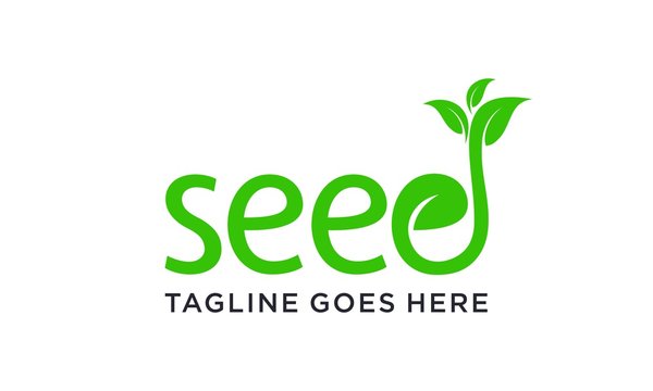 Green seed logo designs concept