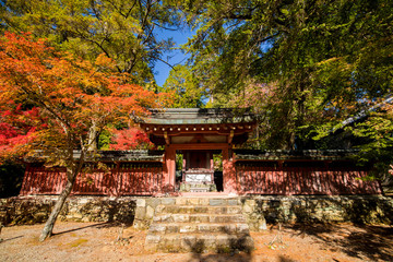 京都のお寺の紅葉シーズンの風景