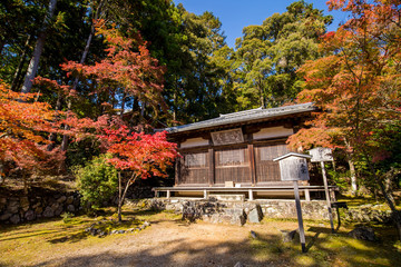 京都のお寺の紅葉シーズンの風景