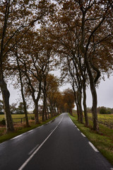 Traveling on a road on the way to Carcassonne. Autumn in France