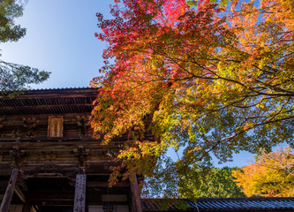 京都のお寺の紅葉シーズンの風景