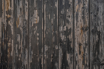 Vintage wood background texture with knots and nail holes with black and gray peeling paint. Empty template.