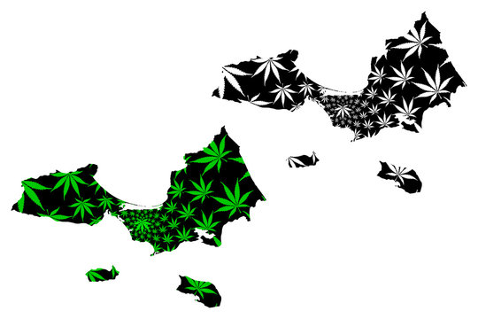 Nueva Esparta State (Venezuela) map is designed cannabis leaf green and black, Estado Nueva Esparta (Margarita Island, Coche and Cubagua) map made of marijuana (marihuana,THC) foliage....