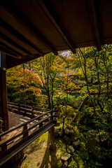 秋の紅葉シーズンの京都のお寺の風景