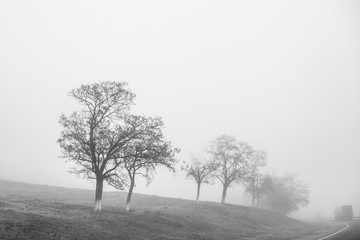 Photo taken while traveling in Iran.