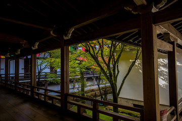 Fototapeta na wymiar 秋の紅葉シーズンの京都のお寺の風景