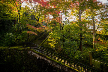 秋の紅葉シーズンの京都のお寺の風景