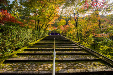 京都の観光名所禅林寺の紅葉風景