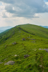 Green hills of the Carpathian mountains