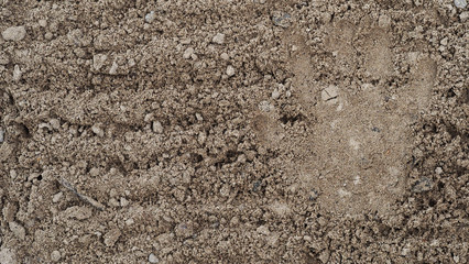 The imprint of a child's hand on the surface of the earth. The imprint of a child's hand is visible on the surface of the earth.