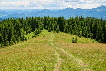 Fototapeta na wymiar Green hills of the Carpathian mountains