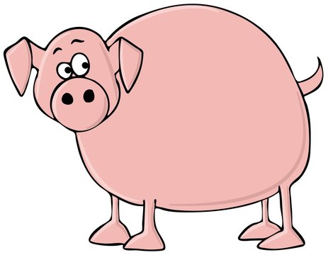 Scared pink pig