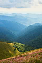 Summer mountain view of the Carpathian mountains