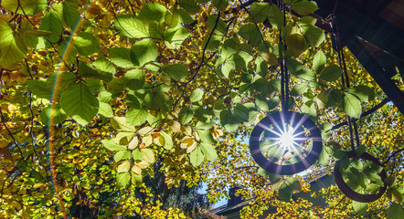 Sonnen-Stern scheint durch Turn-Ringe unter einem herbstlichen Blätterdach 