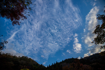秋の青空と山の風景