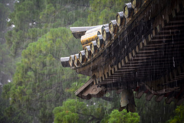 Lluvia sobre techado japon&eacute;s