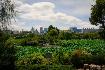 Parque de Tokio