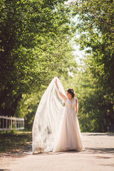 elegant luxury happy bride posing on background of amazing trees in park. beautiful bride in long wedding dress. white dress with long veil