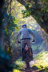 man doing motorcycle cross in the forest in autumn