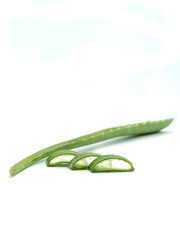 vertical image of an aloe vera