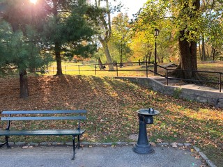 Daily walking around in Central Park Manhattan New York City.