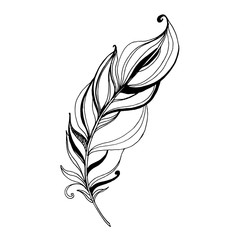 Vector Bird feather from wing isolated. Black and white engraved ink art. Isolated feathers illustration element.