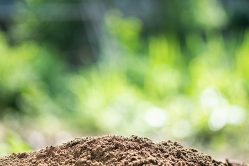 soil and blurred background copy space