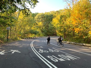 Daily walking around in Central Park Manhattan New York City.