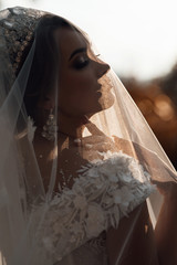 Closeup shot of elegant, bride in white dress posing under veil closeup. Bride portrait wedding...