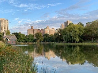 Daily walking around in Central Park Manhattan New York City.