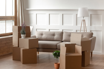 Cardboard boxes on cozy modern light living room