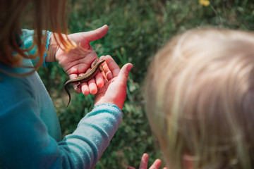 kids learning nature - kids holding and exploring lizard