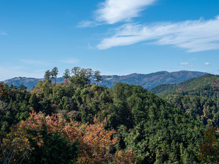埼玉　石尊山山頂からの風景