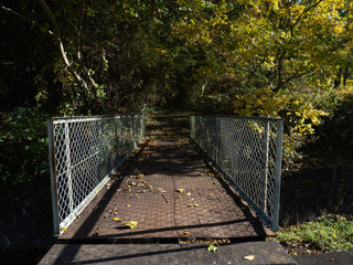 秋の森と橋