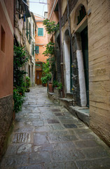 Fototapeta na wymiar Town of Vernazza, Italy