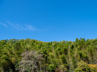 紅葉が始まった山と秋晴れの青空