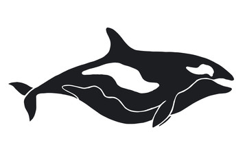 Killer Whale illustration. Ocean animal silhouette for logotype or t-shirt print design.