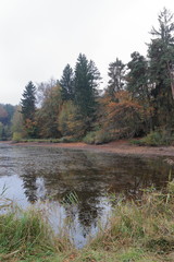 lake in the forest