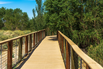 Fototapeta na wymiar Wooden footbridge on a trail at Henderson Bird Viewing Preserve in the City of Hernderson, Nevada