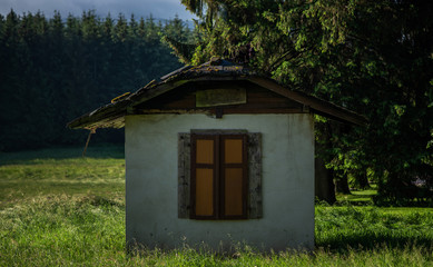 Weathered hut in ancient Black Forest woods of Germany. Beautiful countryside landscape.