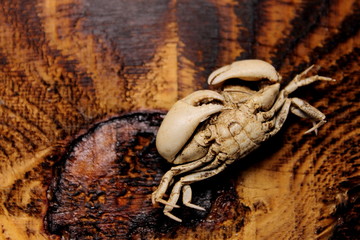 fishing nets and ropes