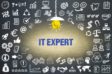 IT Expert