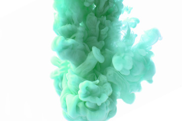 Obraz premium Abstract flowing liquid or green ink in water on a white background. It looks like smoke or cloud. Or zero gravity.