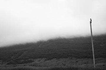 Heavy dense fog in the mountains near the road.